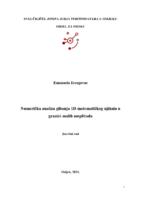 prikaz prve stranice dokumenta Numerička analiza gibanja 1D matematičkog njihala u granici malih amplituda